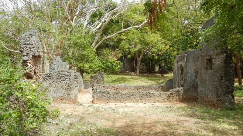 Vědci z plzeňské Fakulty filozofické ZČU zkoumali v Africe zaniklá svahilská města