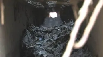 Žebětínští hasiči čistili žabí podchody, které byly po zimě zanesené listím, větvemi a blátem