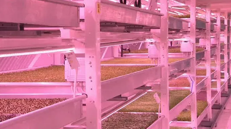 Podzemní skleník v Londýně