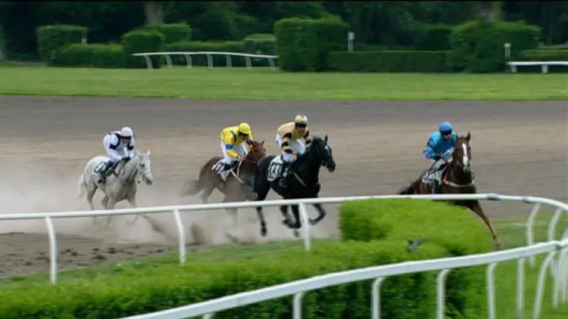 Reportáž Lucie Müllerové