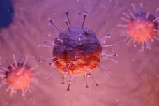 V Česku byla potvrzena nakažlivější jihoafrická varianta koronaviru
