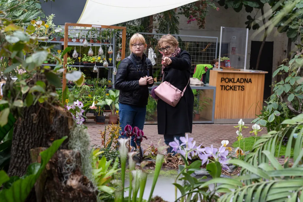 Výstava orchidejí v Olomouci