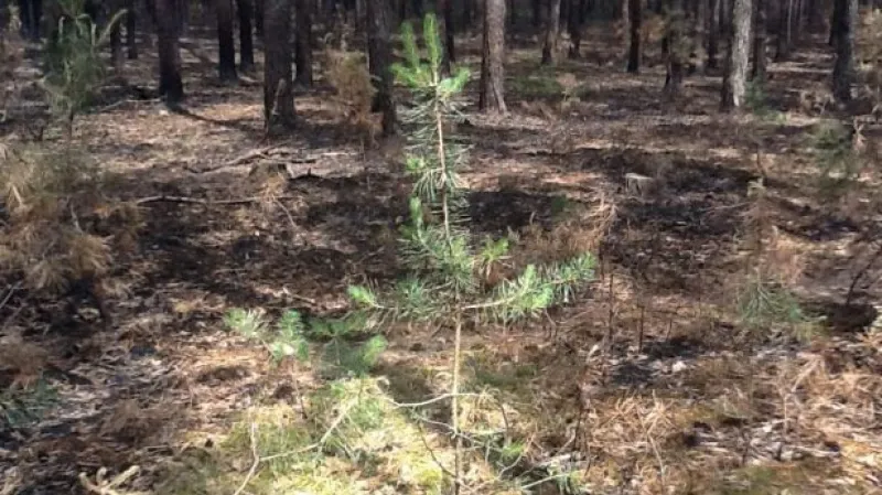 Reportáž Barbory Lukšové