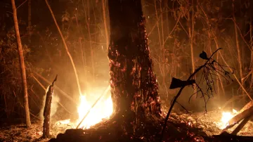 Požáry v Amazonii