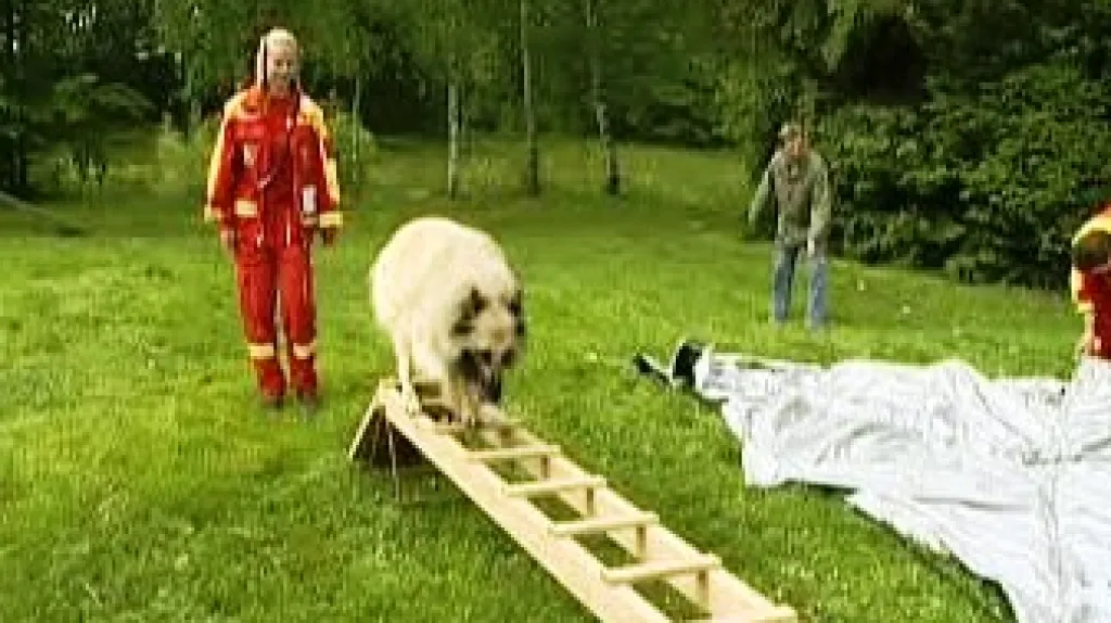 Zkoušky psovodů na Poháru výcvikářů