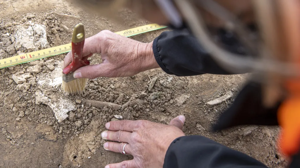 Archeoložka odkrývá pohřebiště