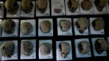 Morbidní nález mění pohled na zvyklosti Aztéků