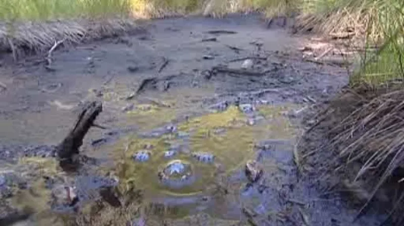 Smraďoch – ráj bahenních sopek