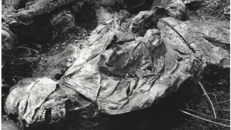 Oběť srebrenického masakru