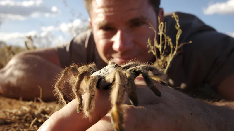 60 zvířecích zabijáků