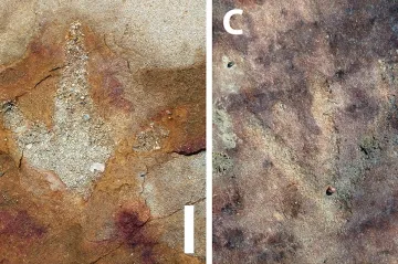 Pravěcí Američané kopírovali dinosauří stopy