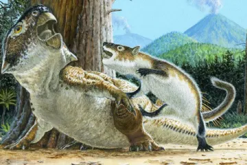 Savec velikosti jezevce útočil na výrazně většího dinosaura. Unikátní fosilie přepisuje znalosti druhohor