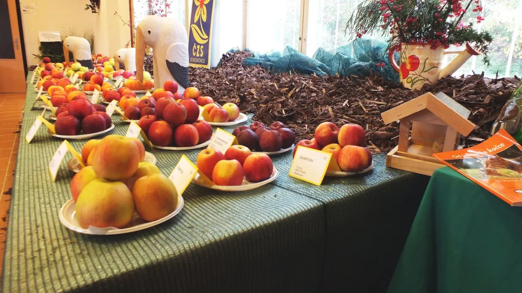 Regionální výstavy ovoce, ovocných a okrasných dřevin v Boskovicích