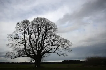 O víkendu bude až patnáct stupňů, začátkem příštího týdne se ochladí
