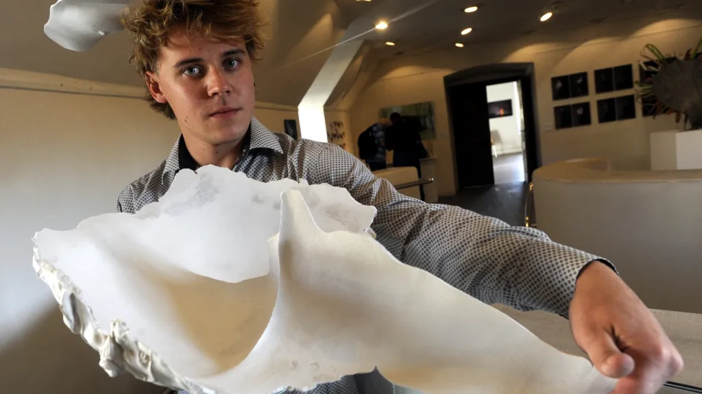Výstava prací studentů Bořka Šípka