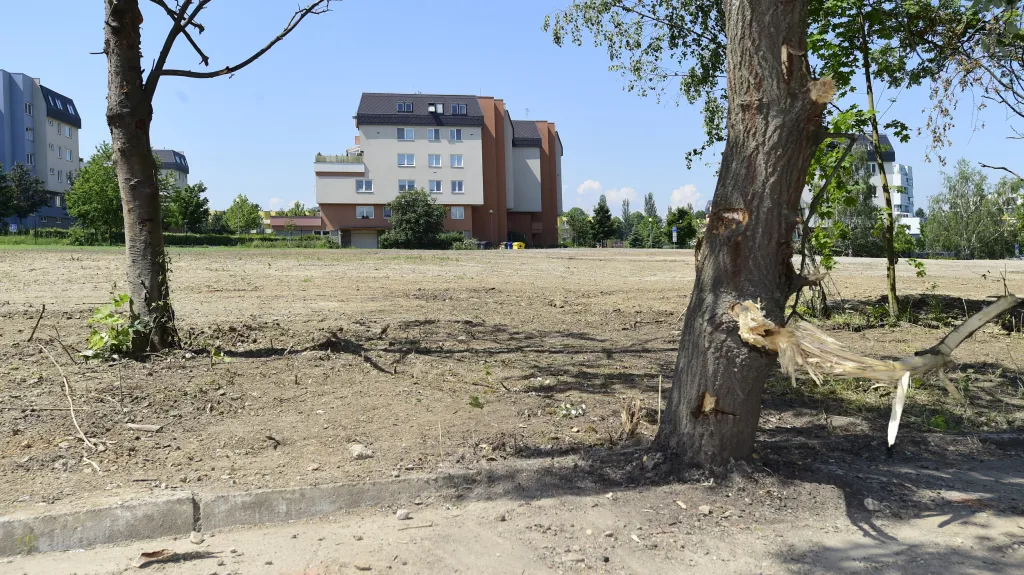 Nově vzniklá plocha v sousedství areálu Fakultní nemocnice Olomouc