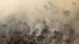 Domovy 21 tisíců obyvatel jižní Amazonie jsou obklopeny spáleništěm. Apui je letos nejpostiženější oblasti černé těžby a mýcení brazilské džungle.