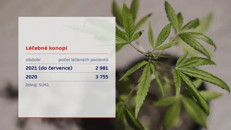 Počet pacientů s léčebným konopím