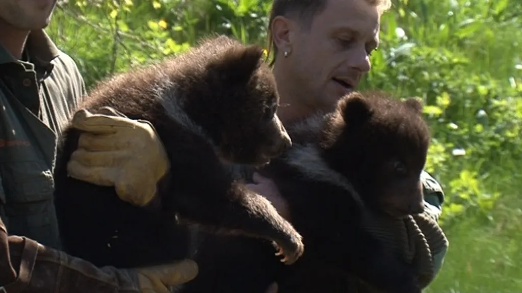 Mevíďata se nosit příliš nechtěla