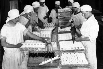 Čokoláda, která je s Čechy už 120 let. Dříve se vánoční figurky dělaly ručně, dnes vše zastanou stroje  