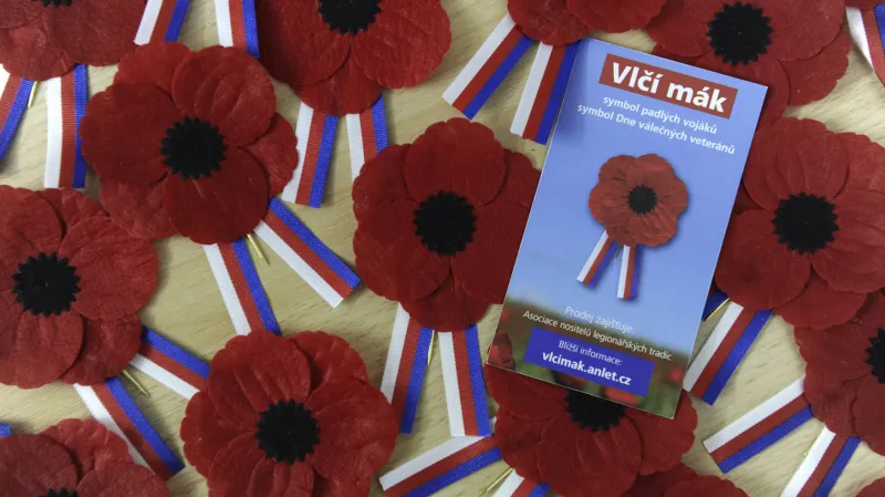 Vlčí máky - symbol Dne válečných veteránů