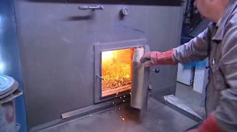 Už za dva roky by mohla v Dlouhé Vsi u Sušice na Šumavě fungovat první tuzemská elektrárna spalující biomasu.