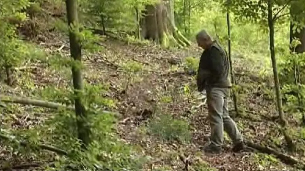 Motorkáři po sobě zanechali spoušť