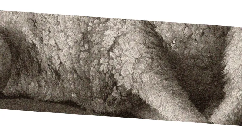 Francisco de Zurbanár: Agnus Dei