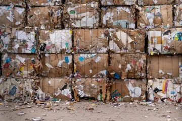 Had, ovce nebo kyčelní kloub. Špatně vytříděný odpad zdražuje recyklaci a ničí stroje