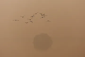 Nejhorší vzduch je v Pákistánu a Bangladéši. Česko je na tom průměrně