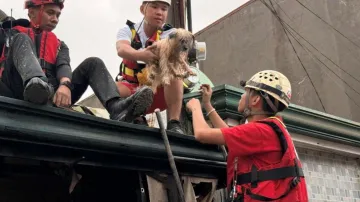 Následky tajfunu Kalmaegi na Filipínách