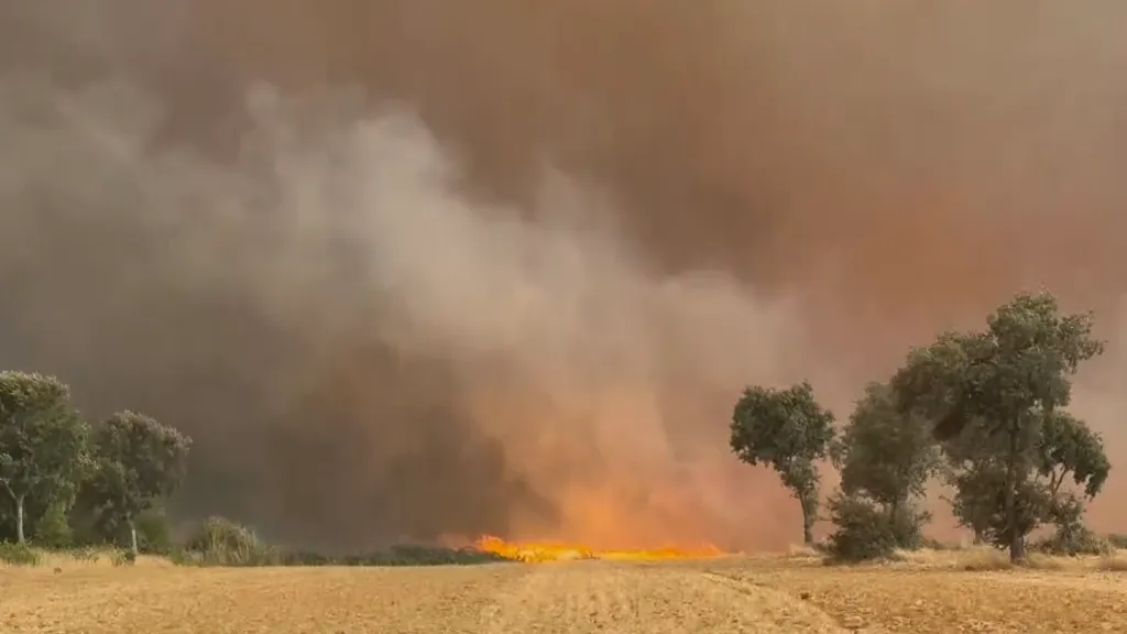 Požár v Molezuelas de la Carballeda (10. srpna 2025)