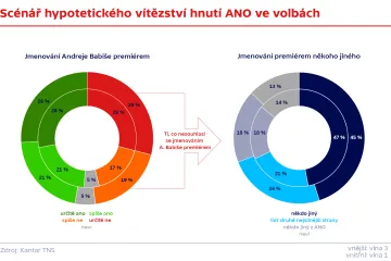 Pokud vyhraje ANO, má být Babiš premiérem? Téměř polovina lidí řekla v průzkumu „ne“