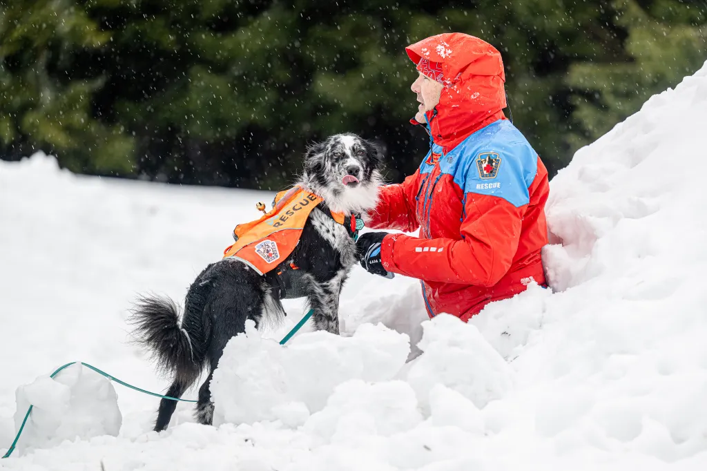 Záchranáři se psy nacvičují v Krkonoších záchranu z lavin