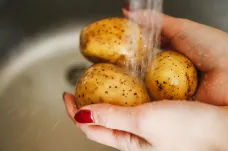 Od těch z dovozu je odlišuje slupka. Rané brambory z tuzemska jsou opět k mání
