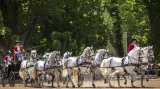 Kočároví koně jsou tady chováni nepřetržitě od konce 18. století.
