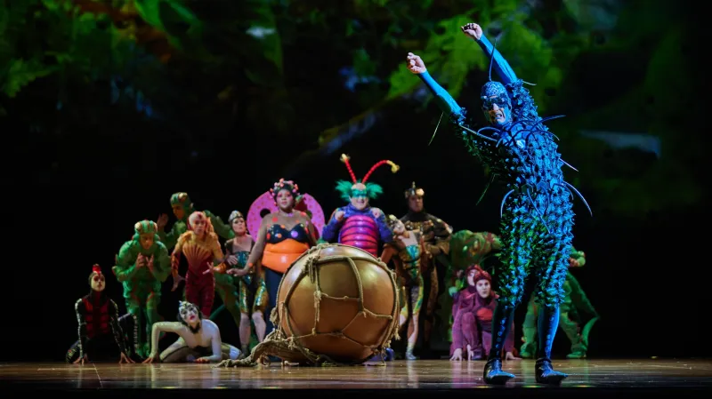 Ovo (Cirque du Soleil)