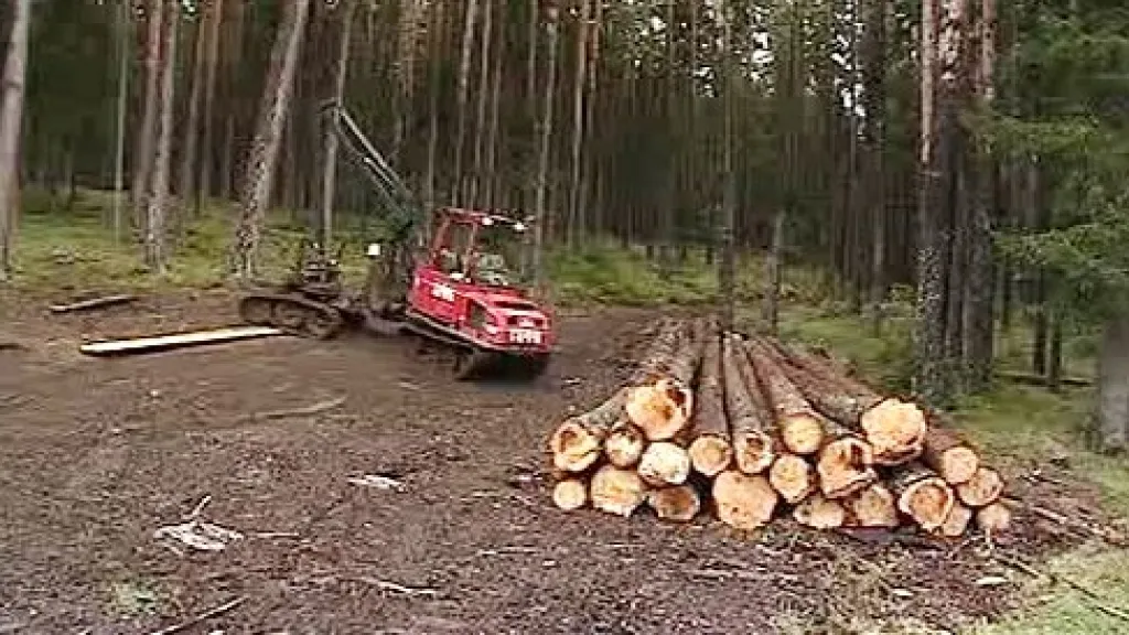Zpracování dřeva