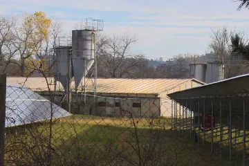 Ptačí chřipka se potvrdila ve dvou chovech