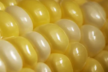 Řetězce v Česku stáhly z pultů mraženou zeleninu s podezřením na listérie