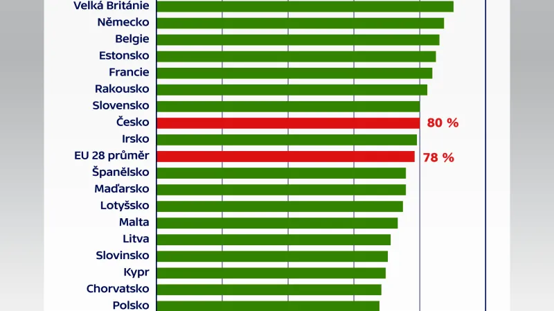 Jednotlivci používající internet v zemích EU28