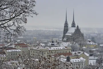 Letošek byl v politice na jihu Moravy rokem odchodů a návratů