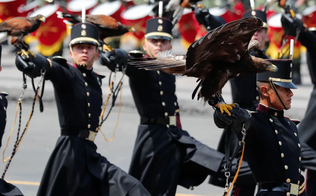 Součástí přehlídky byla i speciální jednotka sokolníků, která hrdě prezentovala opeřence