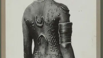 Z výstavy Tatéři a tetovaní v Muzeu Quai Branly v Paříži