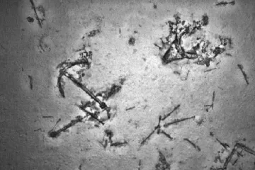 Týmy pátrající po MH370 hlásí nález vraku. Ovšem lodního