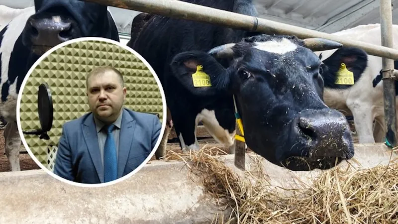 Ilustrační foto