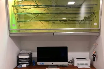 Odchycená mamba našla nový domov u herpetologa v pracovně