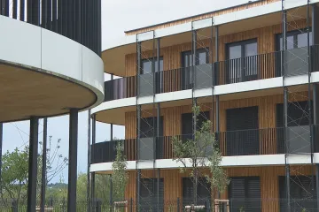 Dřevostavby bude možné stavět vyšší