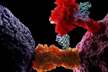 Vědci jsou na stopě univerzální obrany proti chřipce. U zvířat uspěli