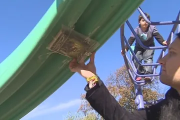 Sdílení nefunguje pouze na internetu, jde to i s auty a knížkami